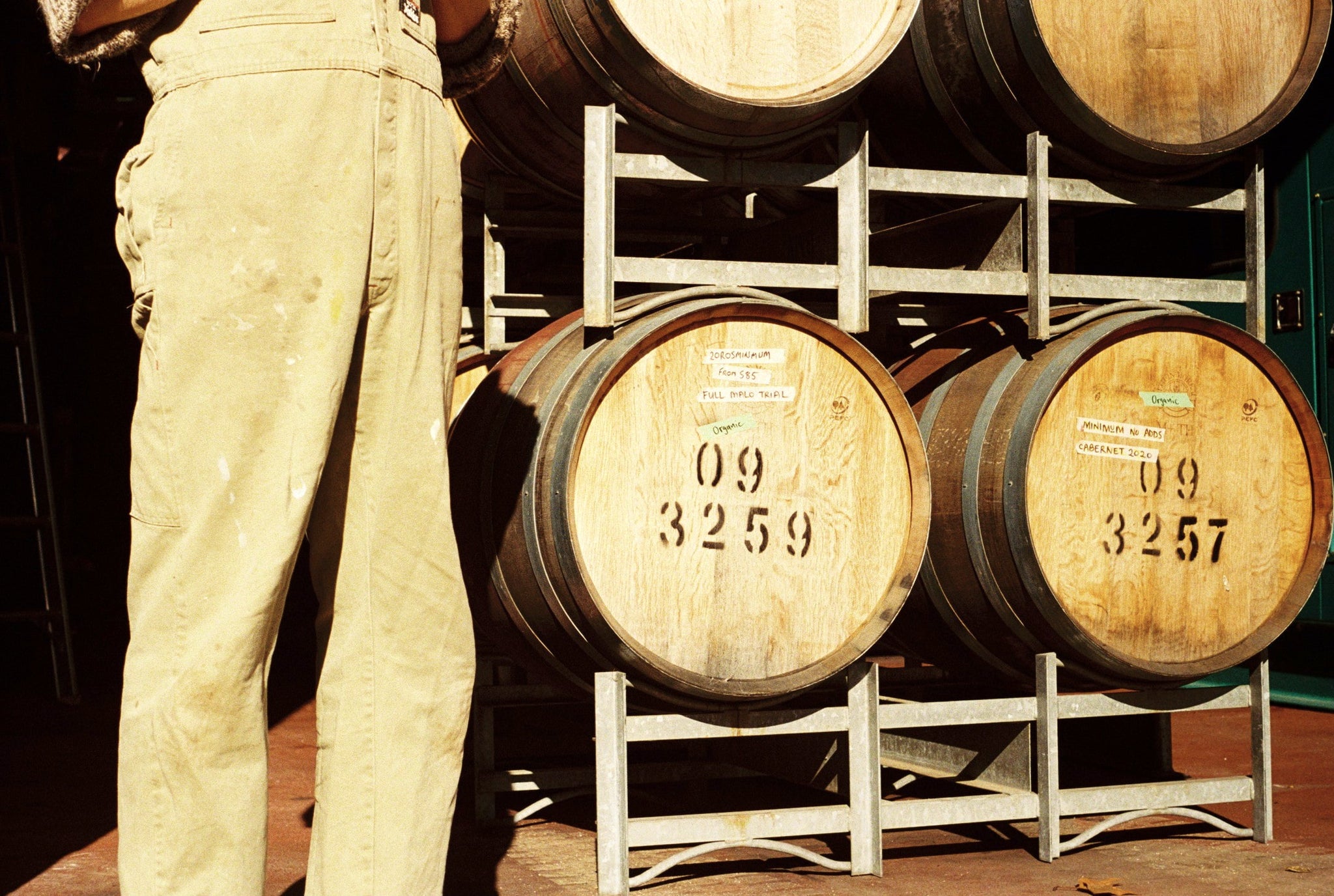 WONDER:<br>How grapes become wine.<br>Part II