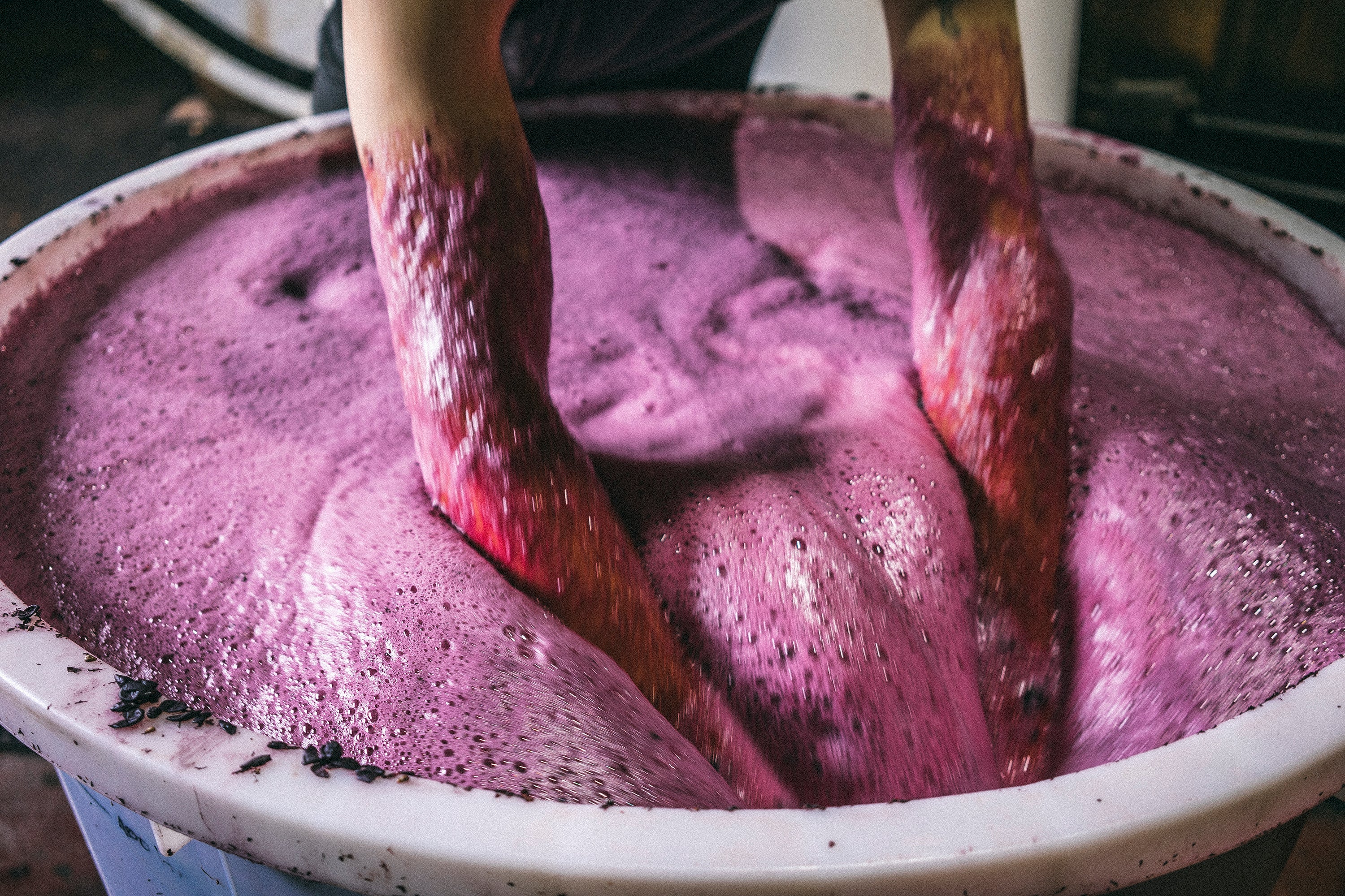 WONDER:<br>How grapes become wine.