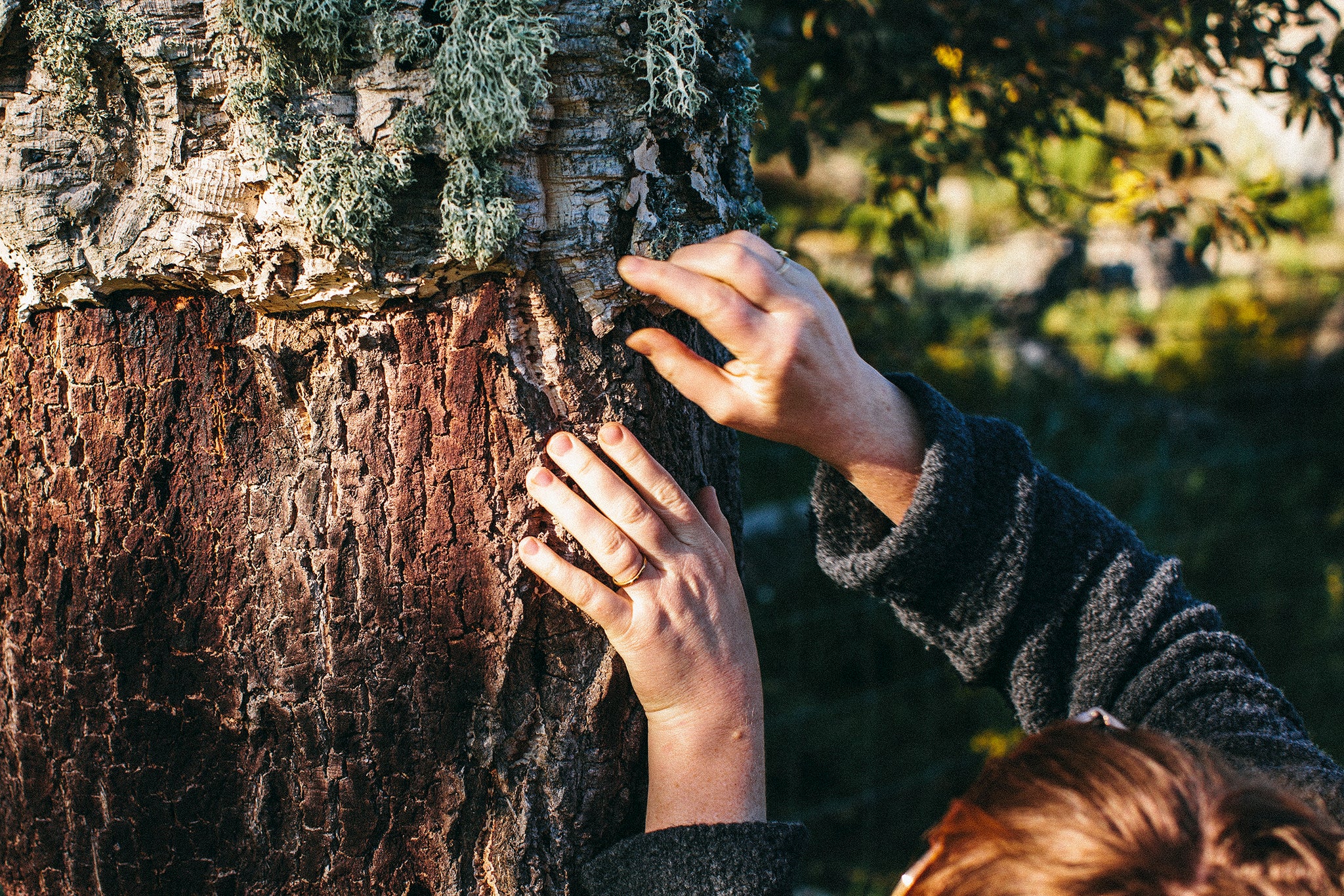 WHY WE LOVE CORK: Beyond-sustainability-thinking