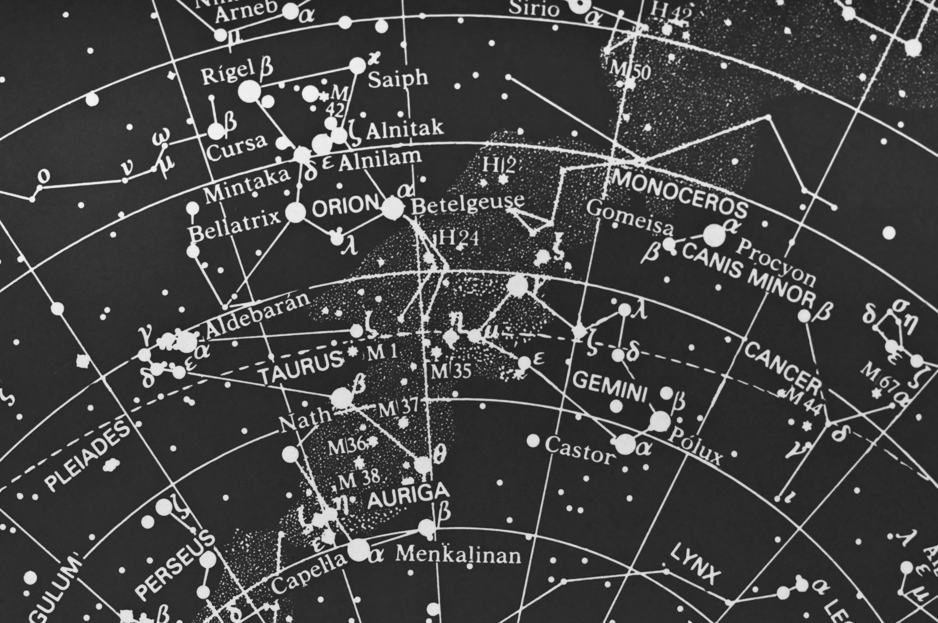 WONDER:<br>Your 2021 horoscope.