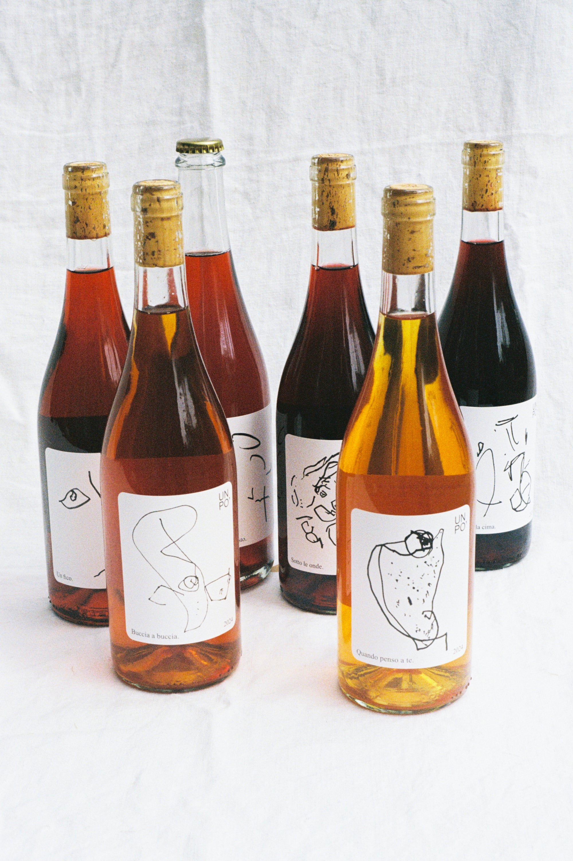 UN PO' intro 6-pack.
