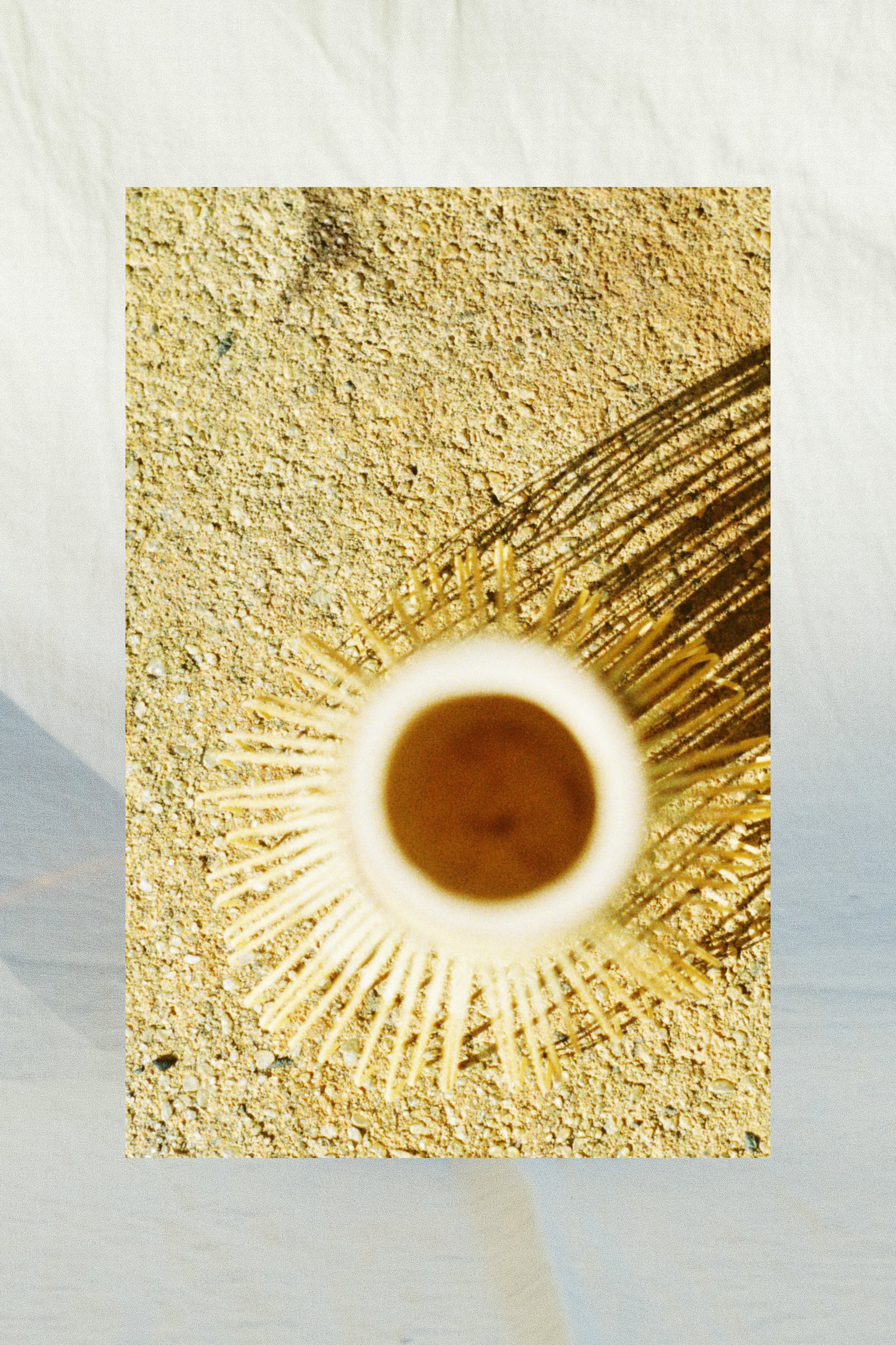 2024 'like sun' Chardonnay.