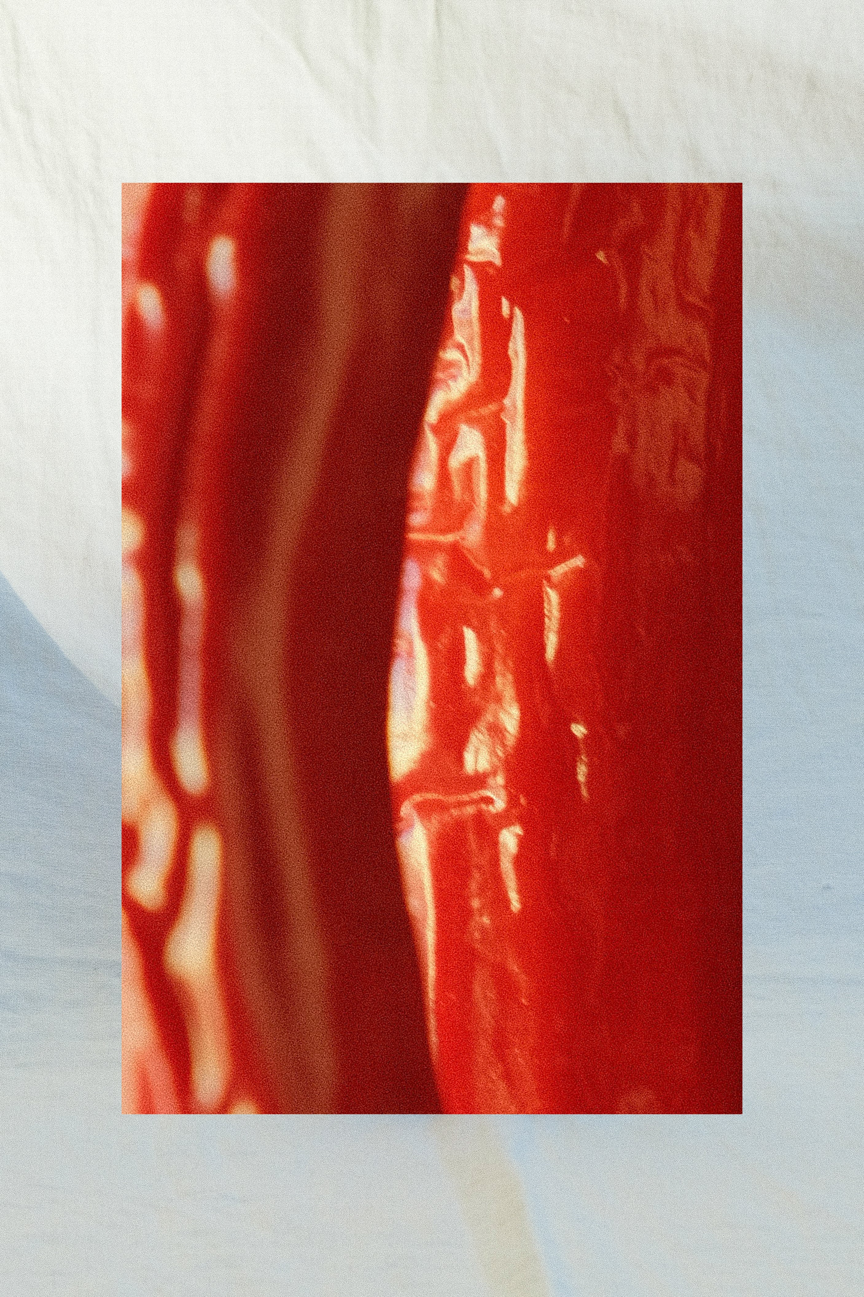 2024 'sans—' Sangiovese/Syrah.