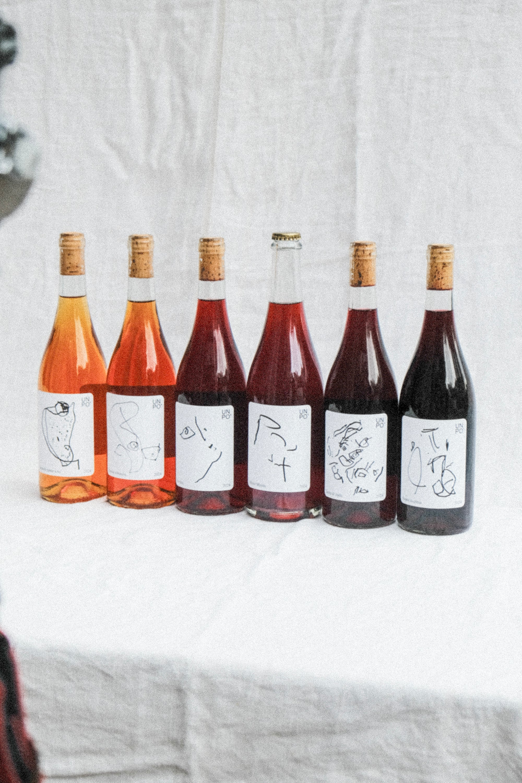 UN PO' intro 6-pack.