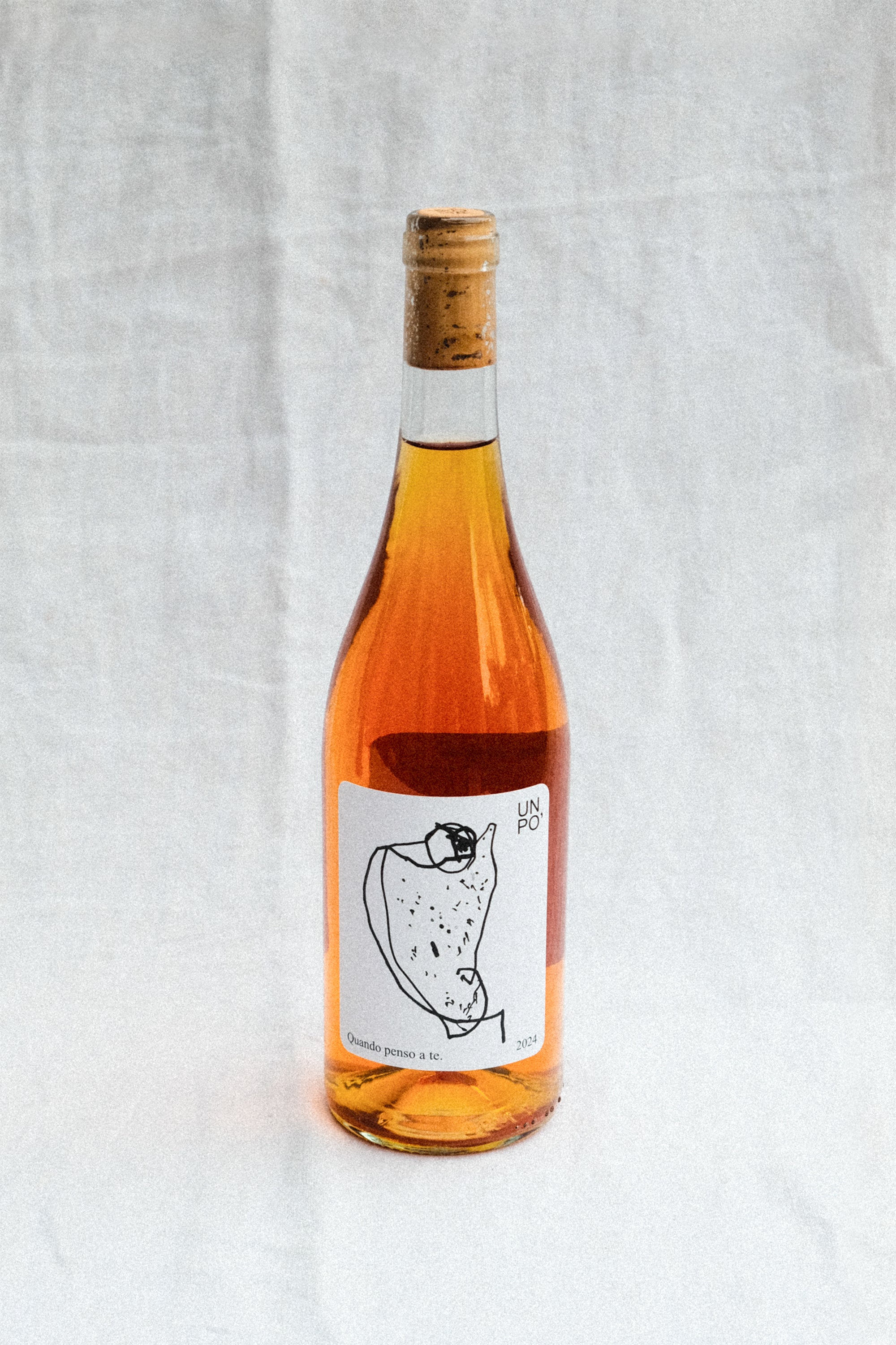 RAINBOW intro 6-pack.