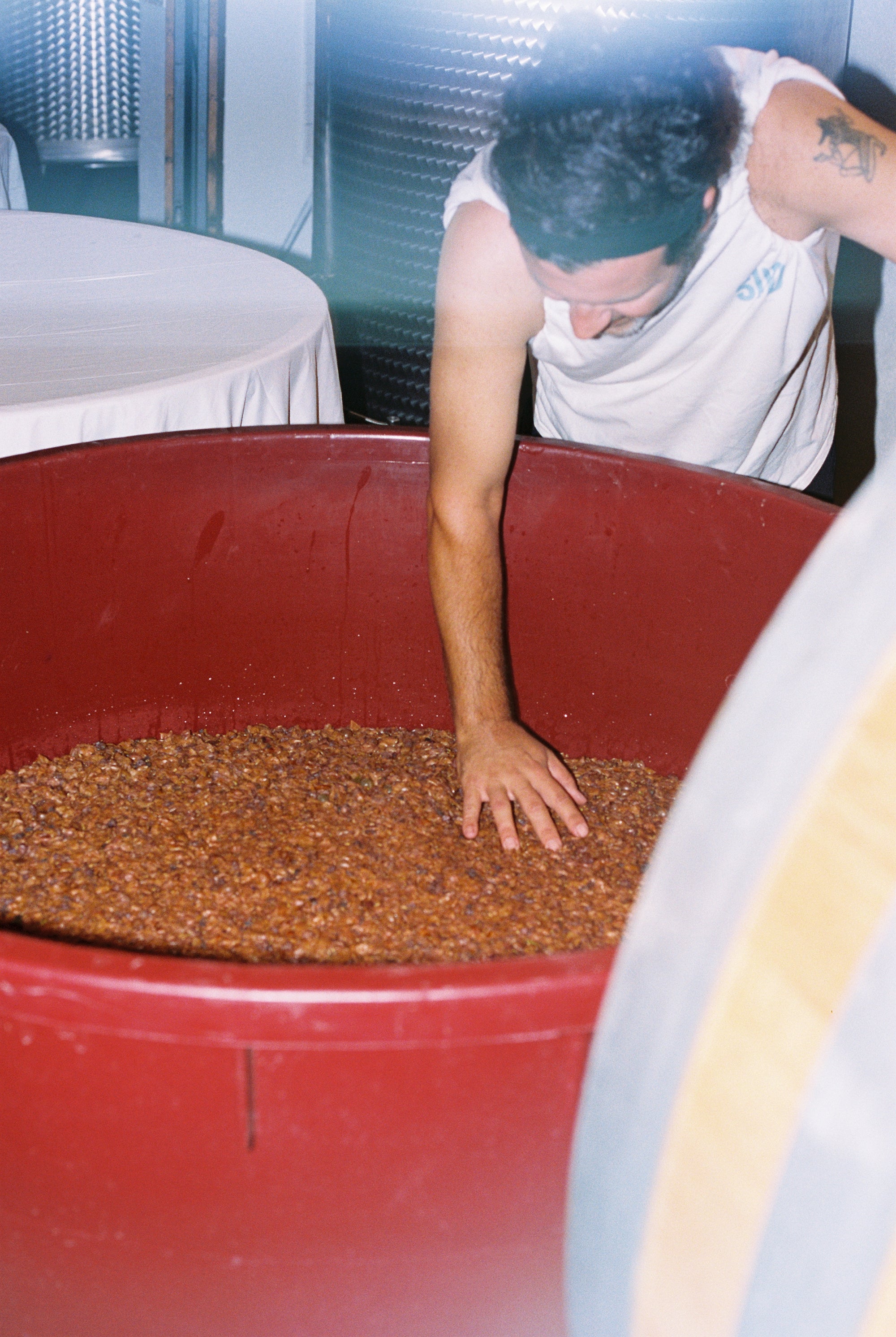 2024 UN PO 'Buccia a buccia' Vermentino.