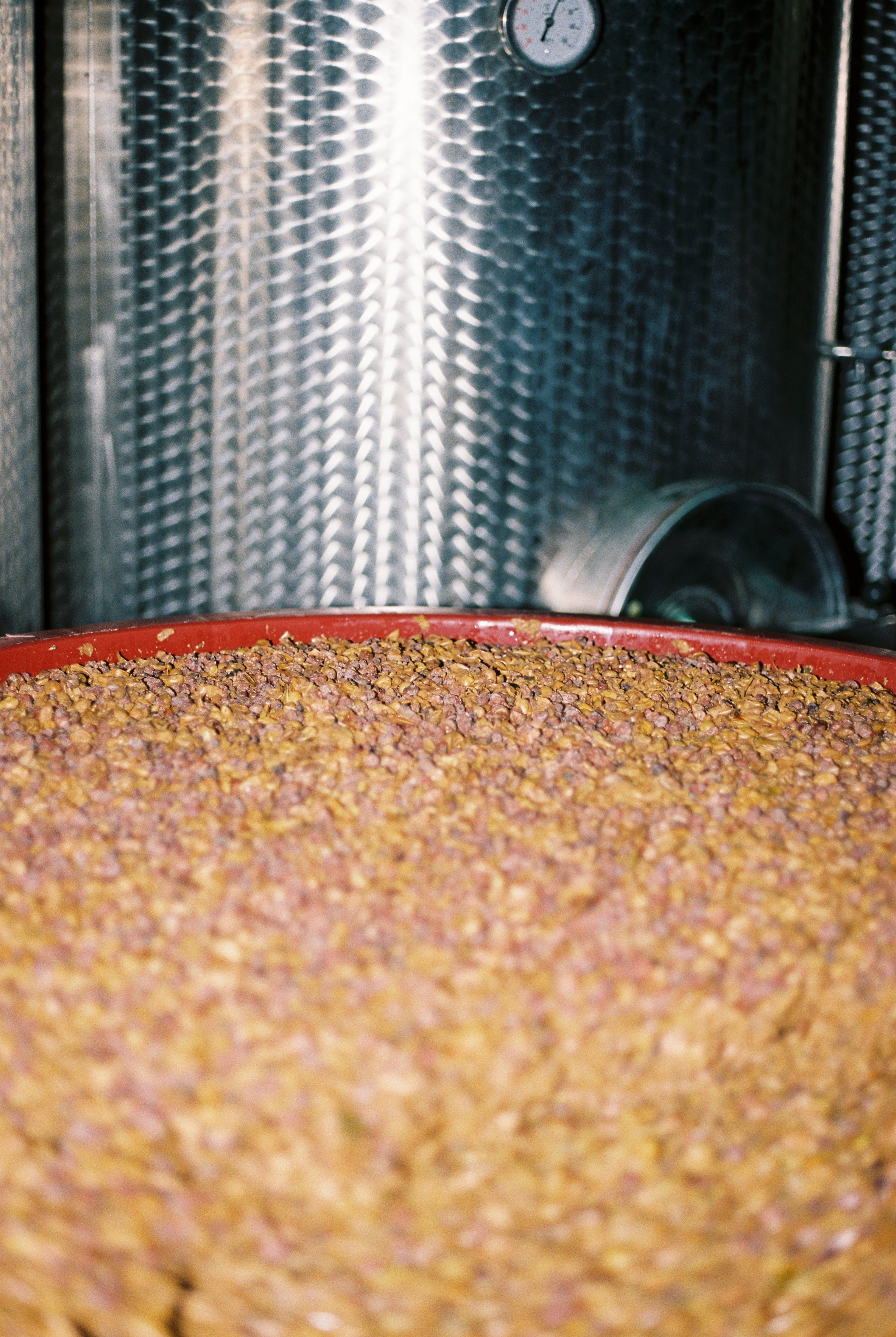 2024 UN PO 'Un fico' Red / White blend.