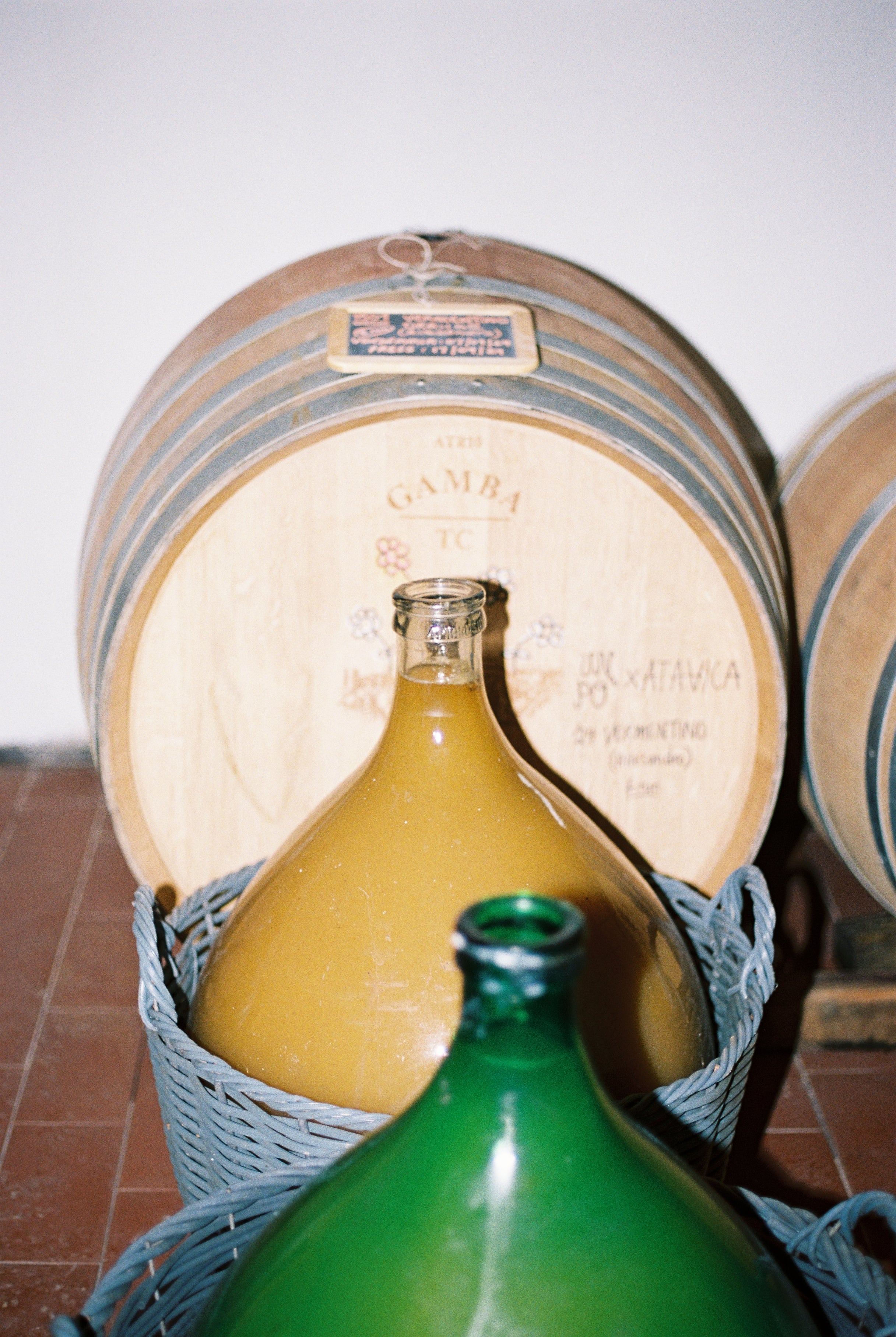 2024 UN PO 'Quando penso a te' Vermentino / Malvasia.