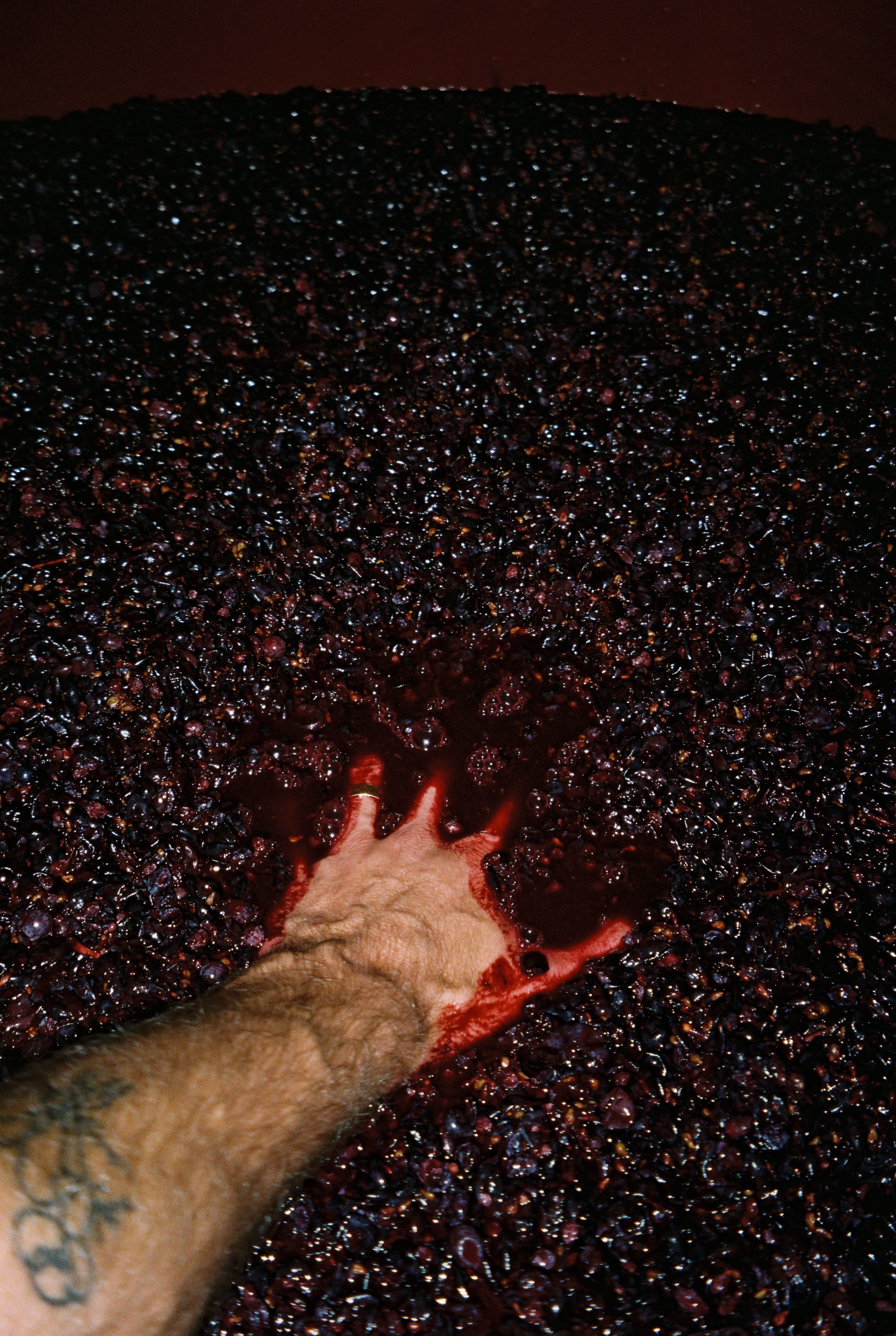 2024 UN PO 'Sopra la cima' Sangiovese.