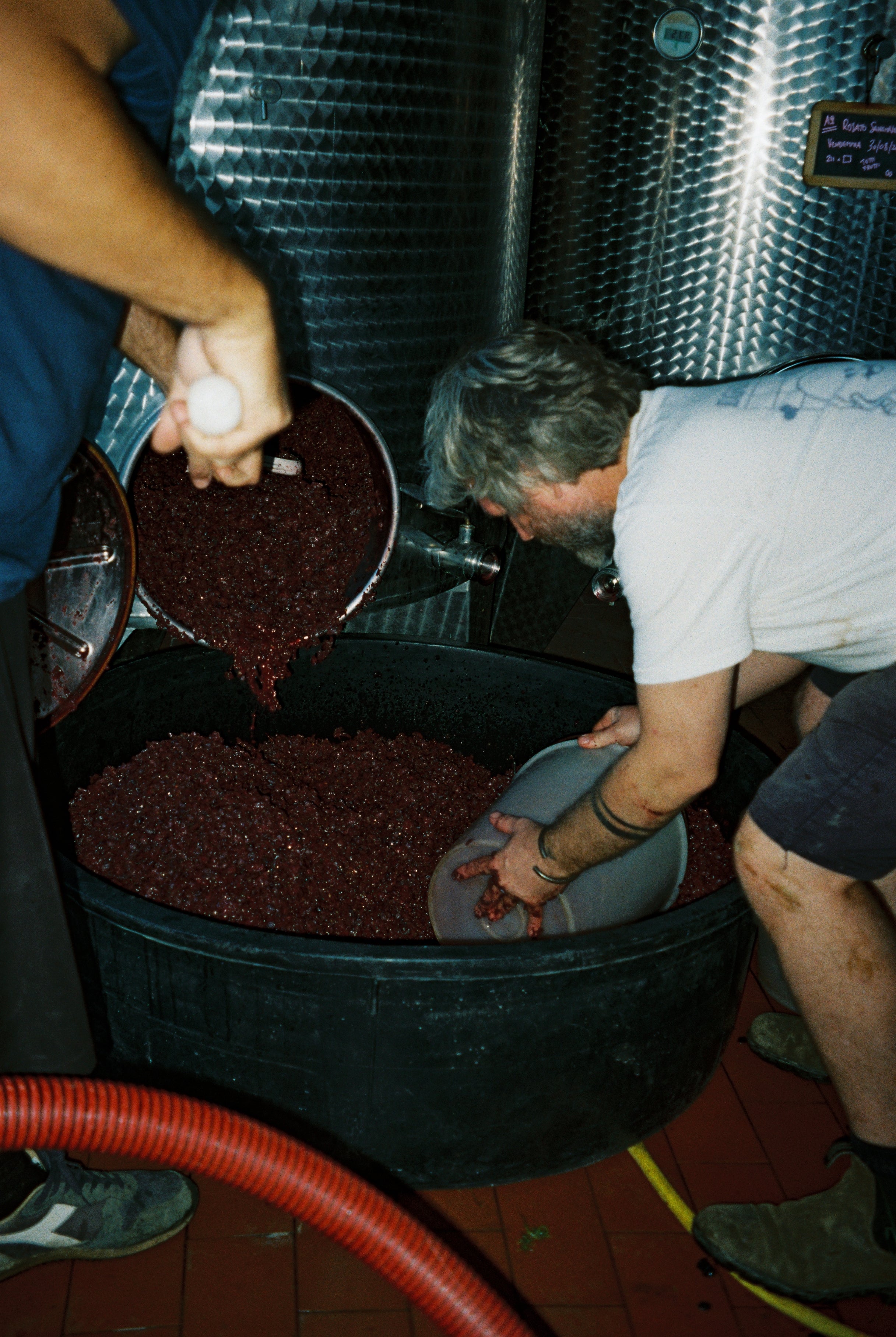 2024 UN PO 'Sopra la cima' Sangiovese.