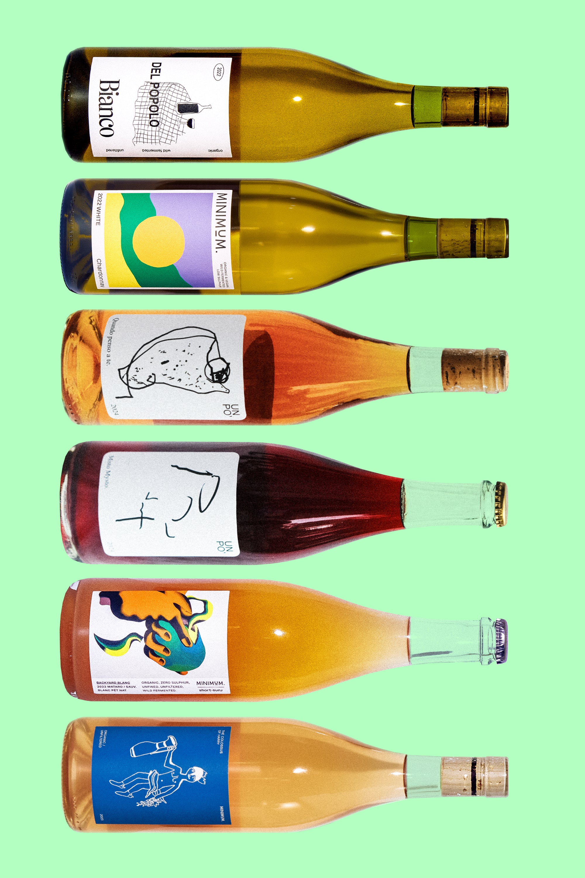 RAINBOW intro 6-pack.