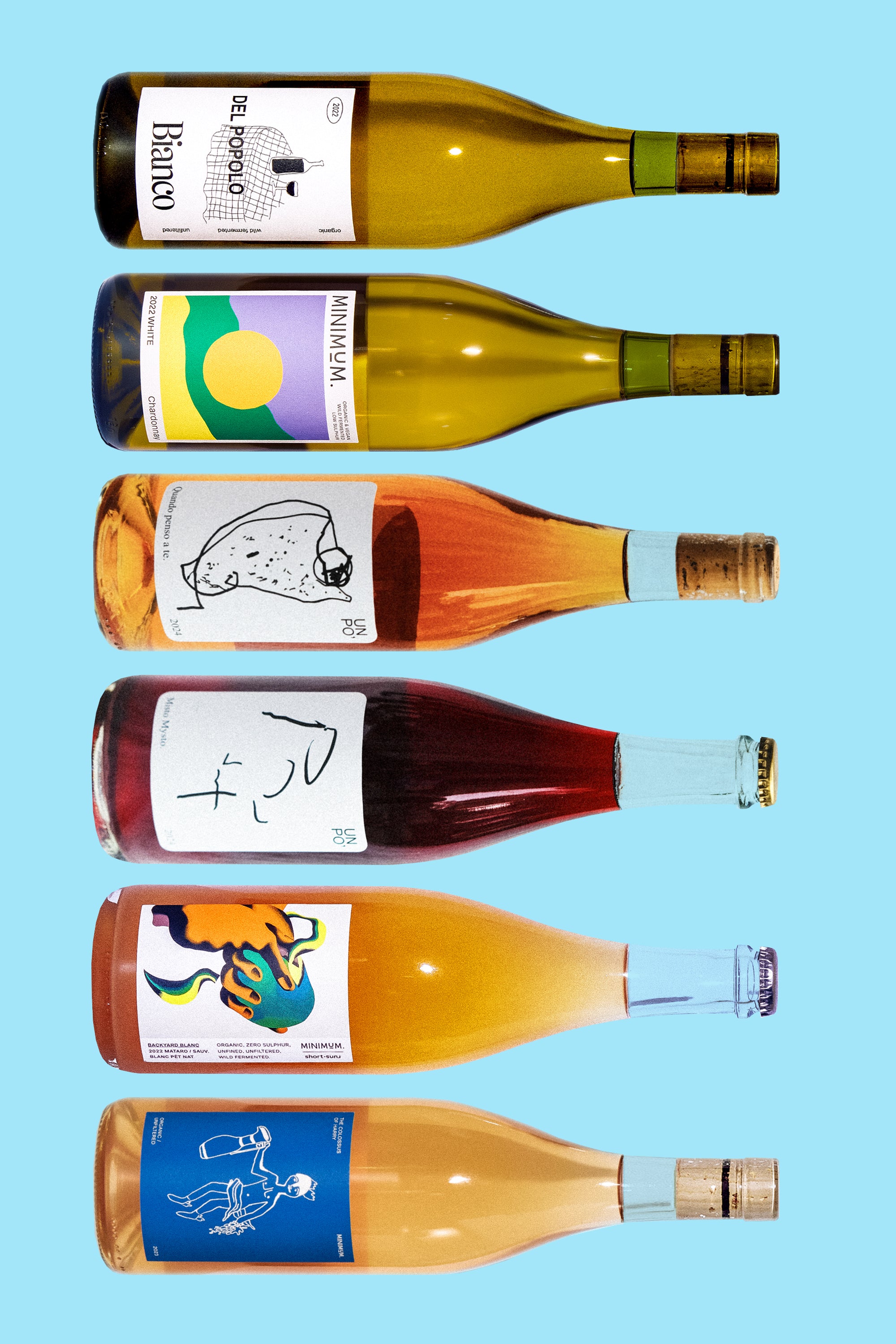 RAINBOW intro 6-pack.