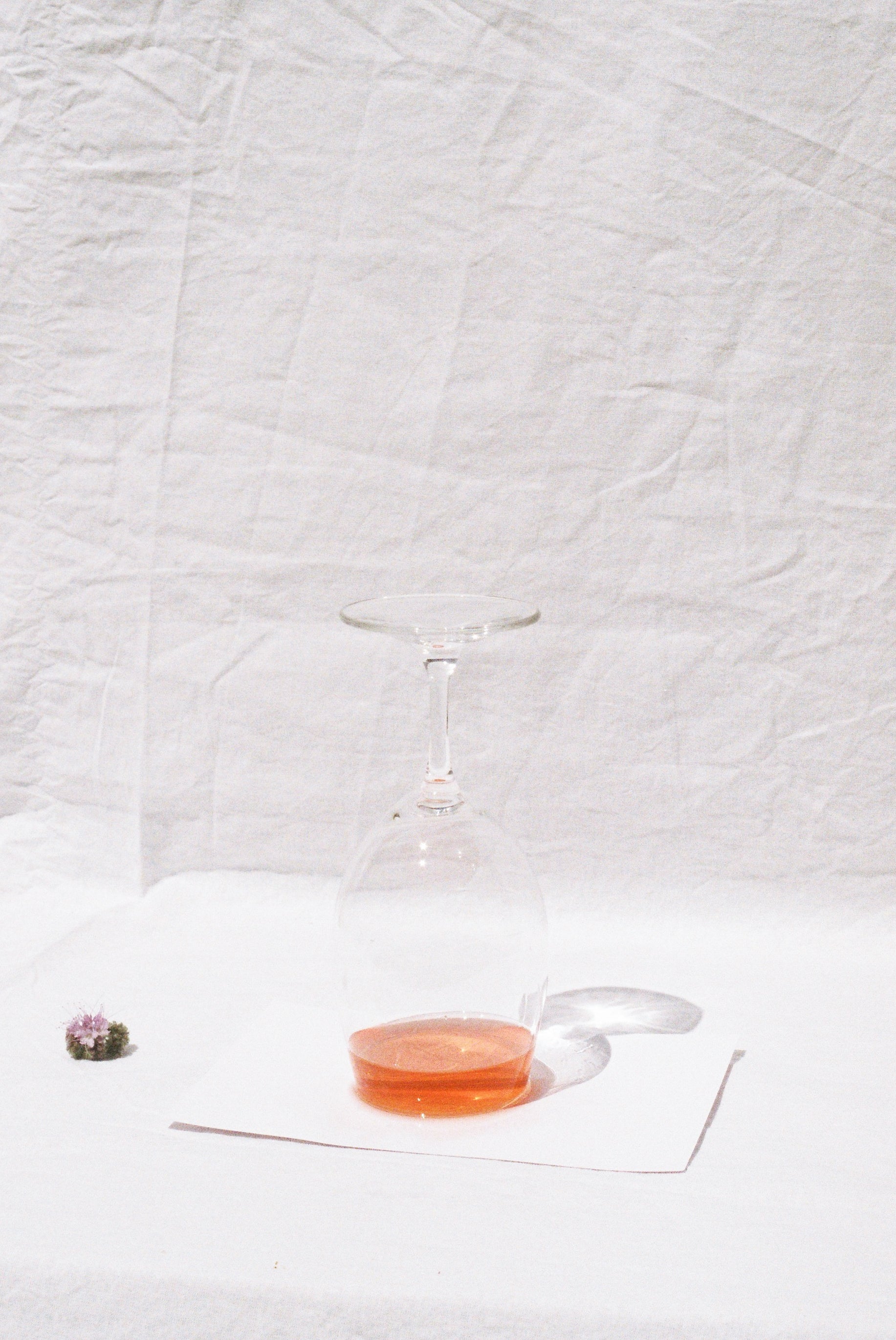 2022 Rosé.