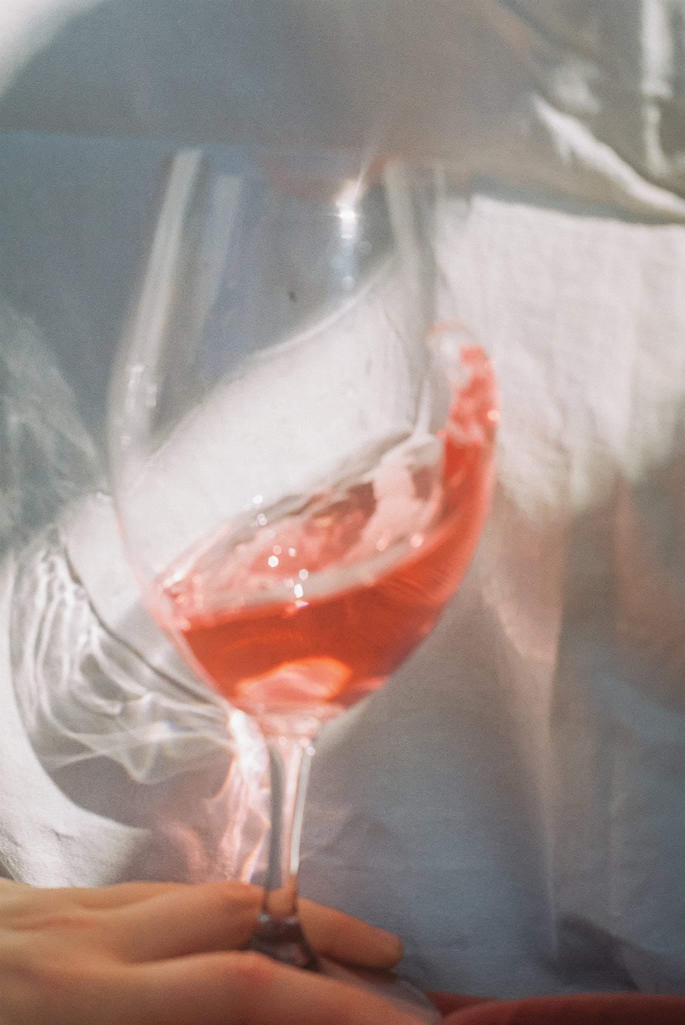 ROSÉ → 2021 Sangiovese / Cab. Sauv. / Merlot.