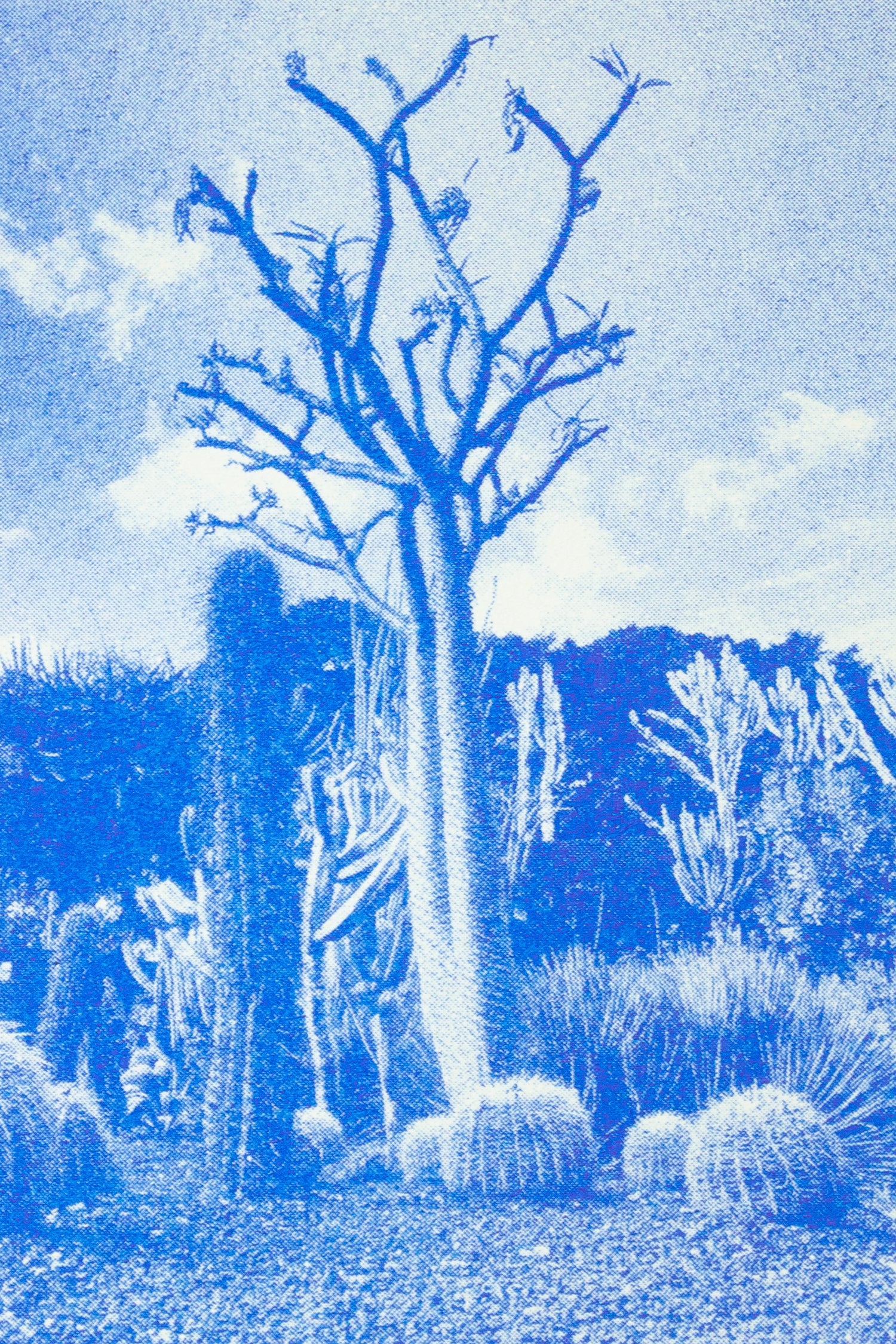 The Minimum Zine Issue #10.